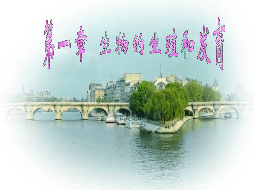 植物的生殖课件
