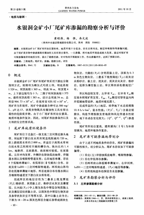 水银洞金矿小厂尾矿库渗漏的勘察分析与评价