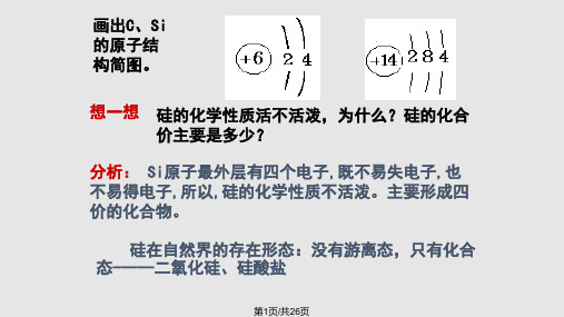 无机非金属硅PPT课件