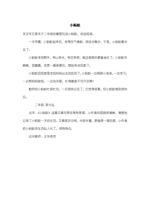 小学二年级看图写话：小蚂蚁