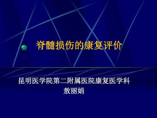 脊髓损伤评价