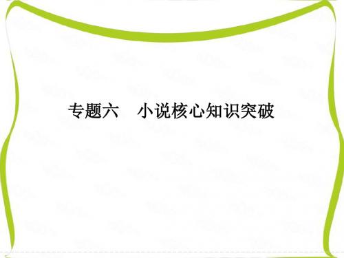 浙江省2017届高考语文二轮复习课件 第六部分 回顾核心知识求突破 专题六