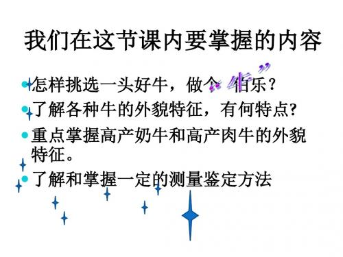 牛生产学