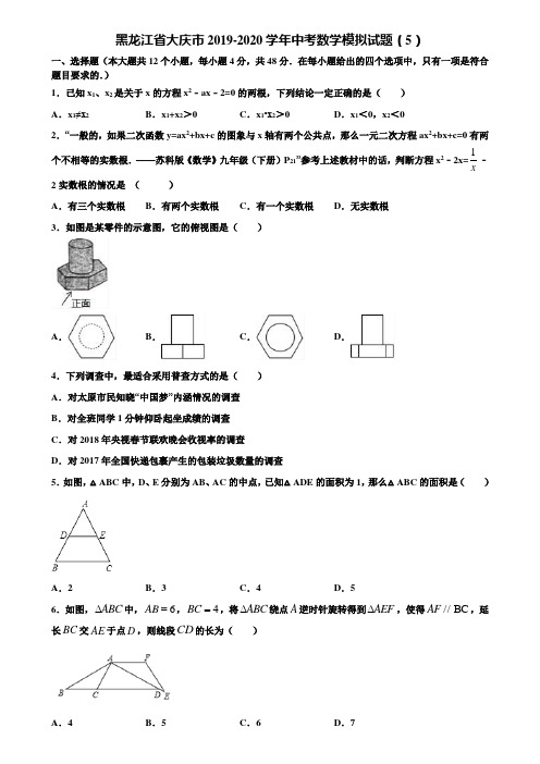 黑龙江省大庆市2019-2020学年中考数学模拟试题(5)含解析