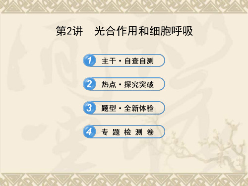 【精品】江苏生物高考热点预测课件2.2光合作用和细胞呼吸