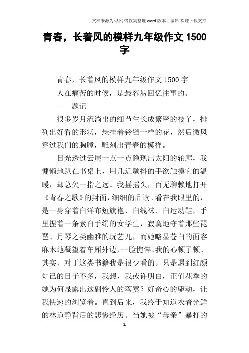青春,长着风的模样九年级作文1500字