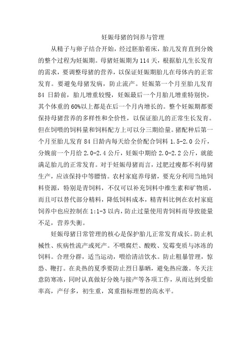 妊娠母猪的饲养与管理