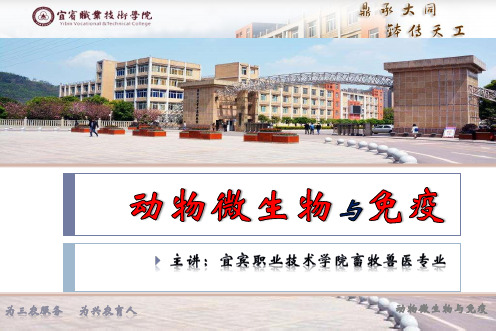 4、细菌病的实验室诊断-细菌的致病性及实验室诊断