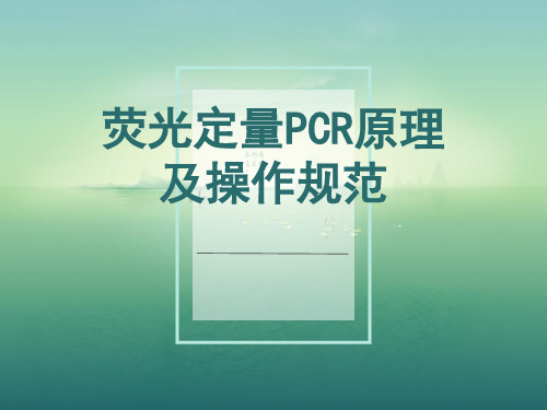 最新荧光定量PCR原理及操作规范