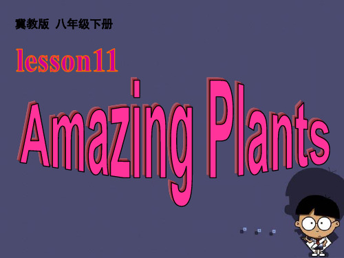 八年级英语下册 Unit 2 Lesson 11 Amazing Plants课件