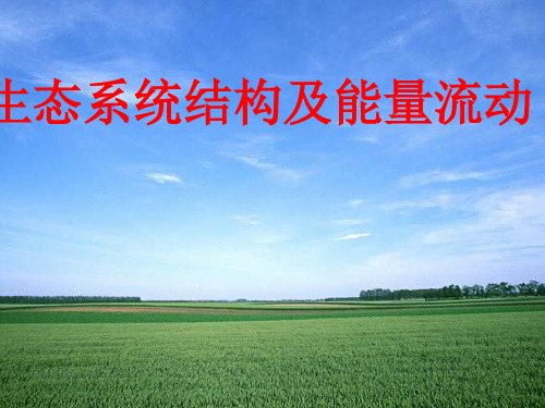 生态系统结构及能量流动ppt课件(自制)