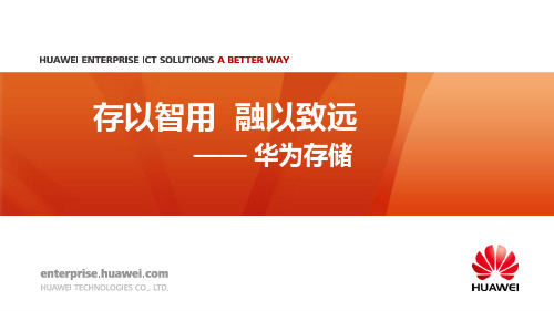 华为存储高层汇报主打胶片PPT课件