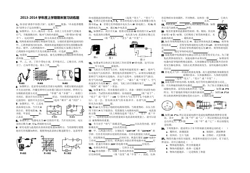 2013-2014年新人教版九年级上物理期末复习试题