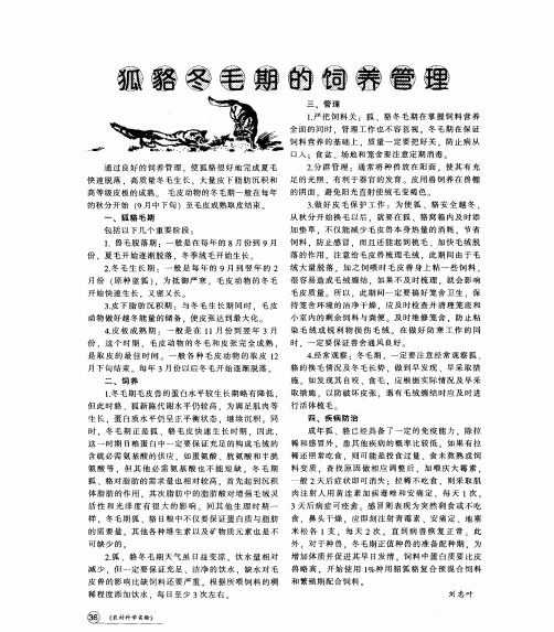 狐貉冬毛期的饲养管理