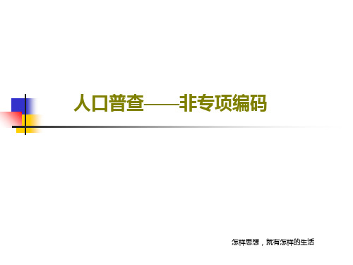 人口普查——非专项编码50页PPT