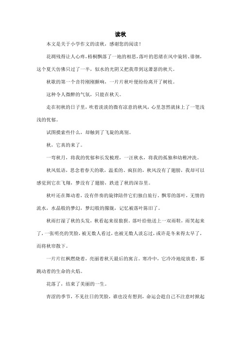 读秋_小学作文