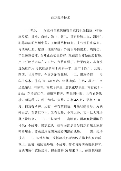 白芨栽培技术