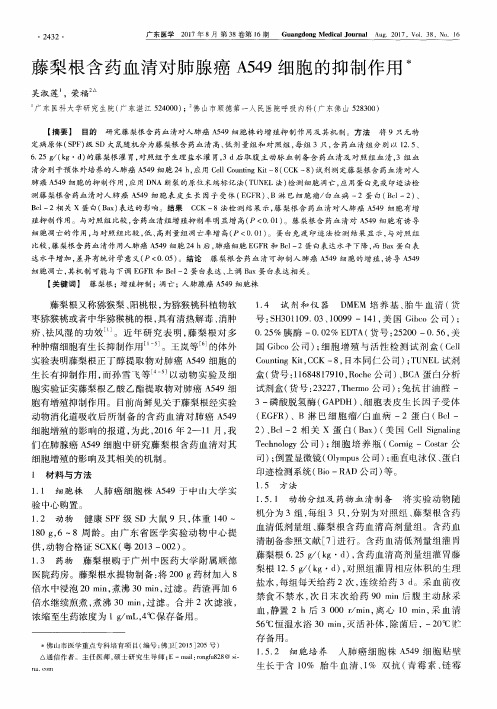 藤梨根含药血清对肺腺癌A549细胞的抑制作用