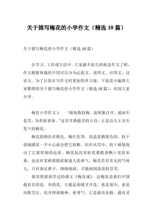 关于描写梅花的小学作文(精选10篇)