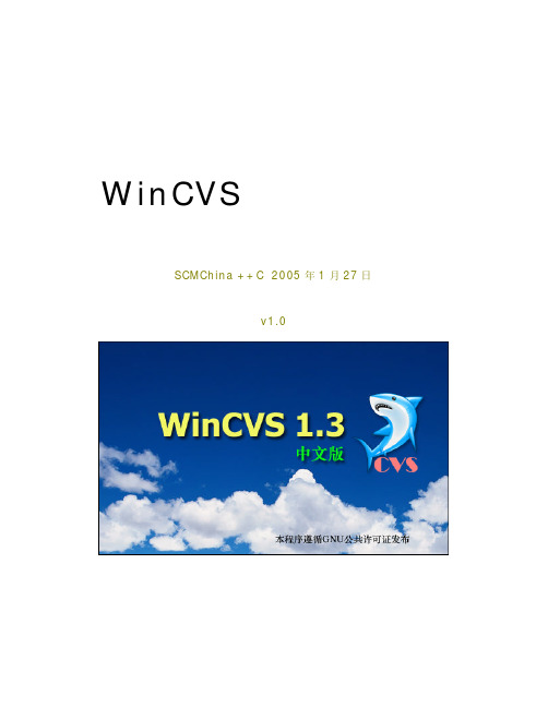 WinCVS 安装配置指南