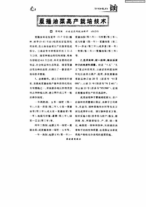 夏播油菜高产栽培技术