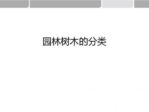 园林树木分类