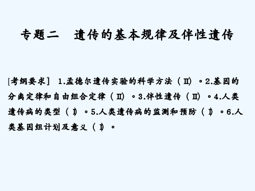 高考生物全国版二轮专题复习配套课件：第四单元 遗传变异与进化 专题二