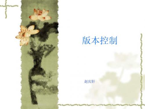 SVN版本控制培训