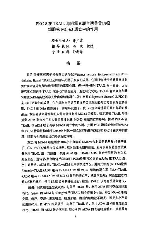 RKC-δ在TRAIL及阿霉素联合诱导骨肉瘤细胞株MG-63凋亡中的作用