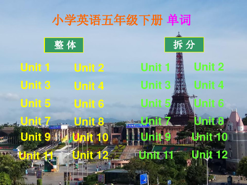 沪教牛津版小学英语五年级下册单词(电脑版)讲课讲稿