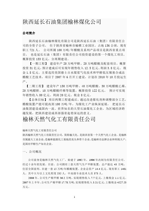 陕西延长石油集团榆林煤化公司
