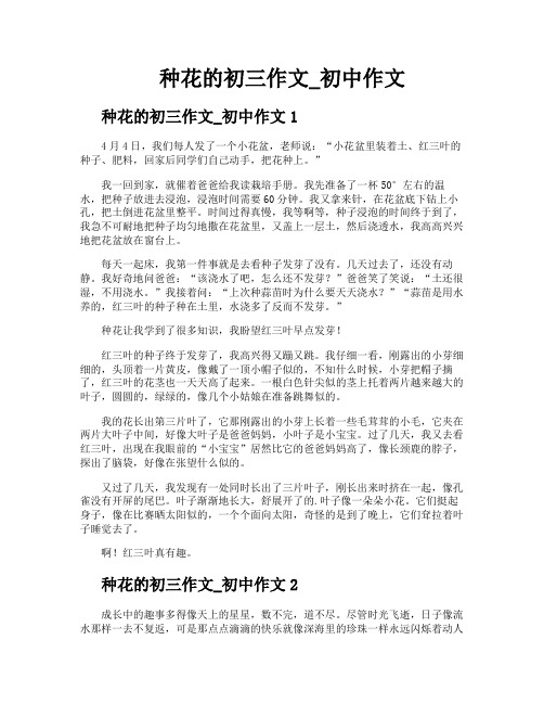种花的初三作文初中作文