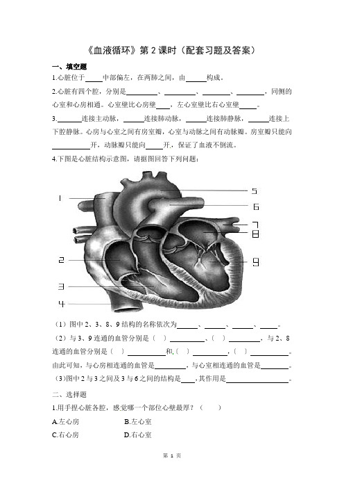 北师大版初中生物七年级下册第九章第2节《血液循环》配套练习含答案(第2课时)