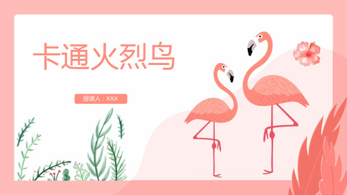治愈系火烈鸟PPT教学通用模版