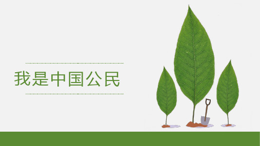 公民意味着什么——我是中国公民精品课件PPT(人教版六年级上册道德与法治)