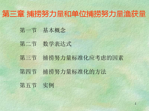 3 捕捞努力量和单位捕捞努力量渔获量