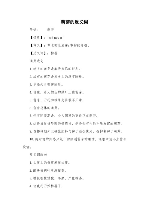 萌芽的反义词