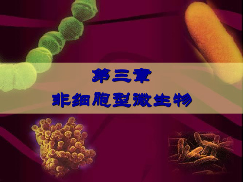 非细胞型微生物