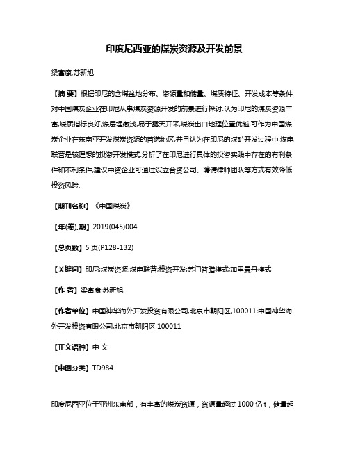 印度尼西亚的煤炭资源及开发前景