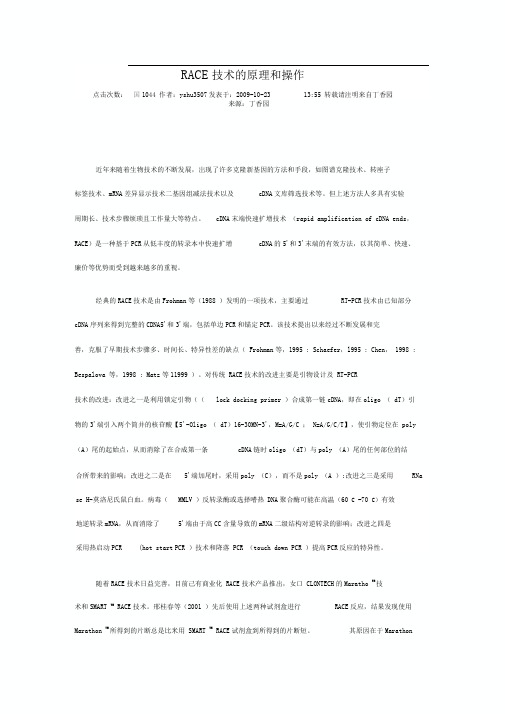 RACE原理及操作