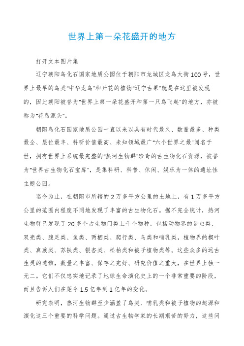 世界上第一朵花盛开的地方