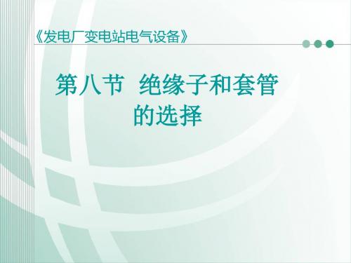 68绝缘子和套管的选择资料