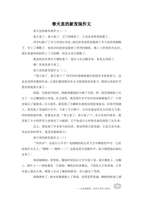 春天里的新发现作文