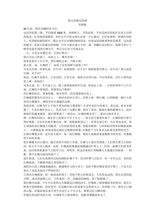 高考阅读  离太阳最近的树(带答案)