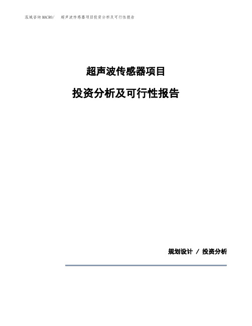 超声波传感器项目投资分析及可行性报告
