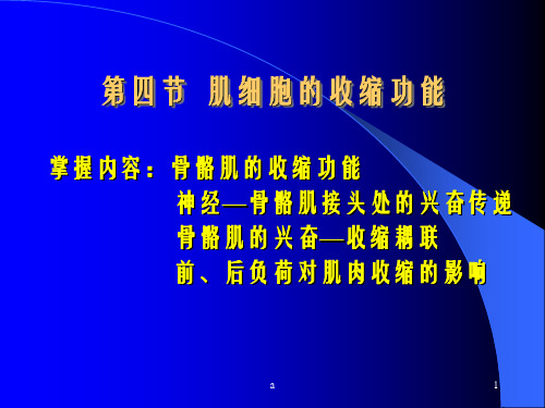 肌细胞的收缩功能