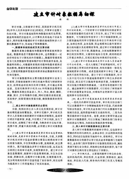 建立审计对象数据库初探