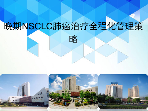 晚期NSCLC肺癌治疗全程化管理策略PPT演示课件