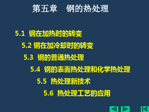 第五章钢的热处理说课讲解