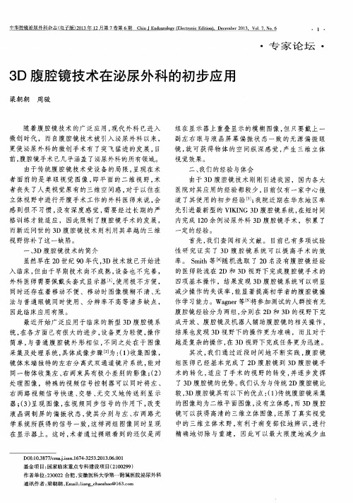 3D腹腔镜技术在泌尿外科的初步应用